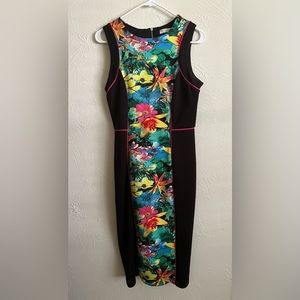Spense floral dress